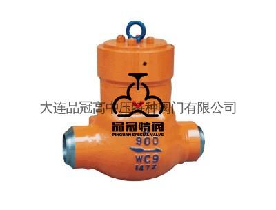 電站止回閥